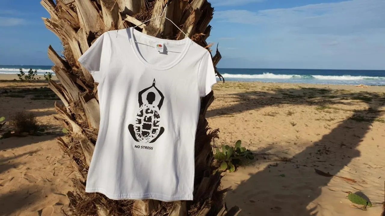 Beachhaus Praia De Chaves Rabil 0*,  Cape Verde